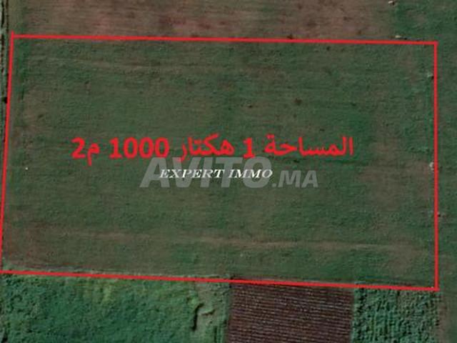 Propriété vente à El Ma, Gharb-Chrarda-Beni Hssen