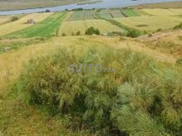 Propriété vente à Oualidia, Gharb-Chrarda-Beni Hssen