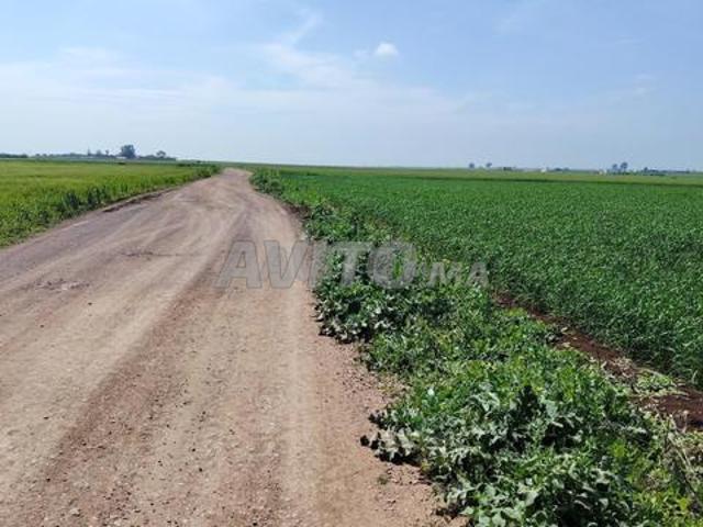 Propriété vente à El Ma, Gharb-Chrarda-Beni Hssen