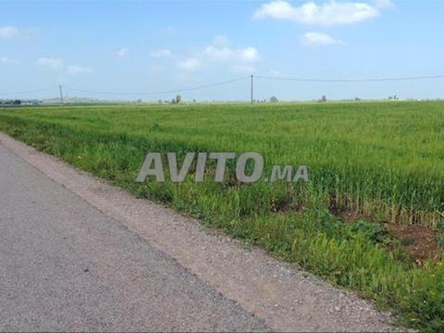 Propriété vente à El Ma, Gharb-Chrarda-Beni Hssen
