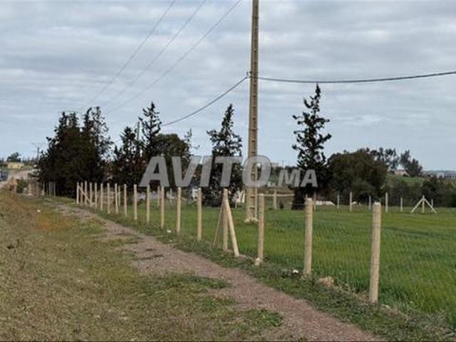 Propriété vente à El Ma, Gharb-Chrarda-Beni Hssen