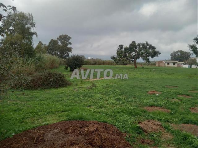Propriété vente à El Ma, Gharb-Chrarda-Beni Hssen
