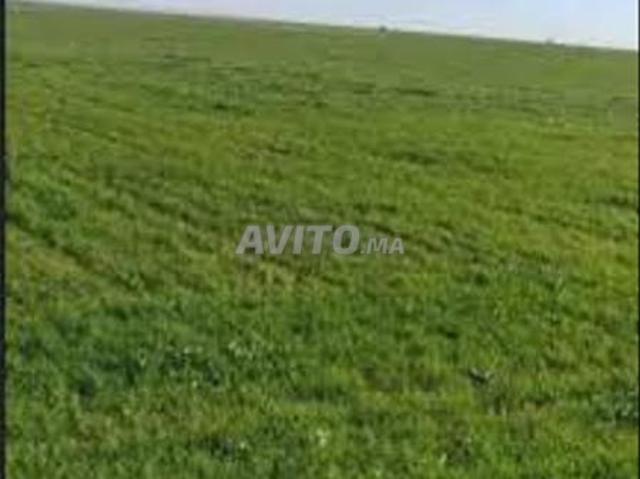 Propriété vente à El Ma, Gharb-Chrarda-Beni Hssen