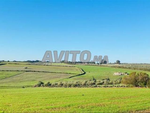 Propriété vente à El Ma, Gharb-Chrarda-Beni Hssen