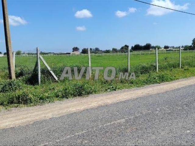 Propriété vente à El Ma, Gharb-Chrarda-Beni Hssen