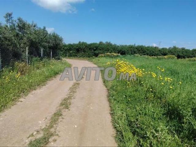 Propriété vente à El Ma, Gharb-Chrarda-Beni Hssen