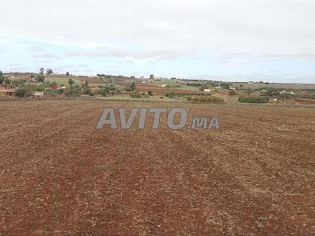 Propriété vente à El Ma, Gharb-Chrarda-Beni Hssen