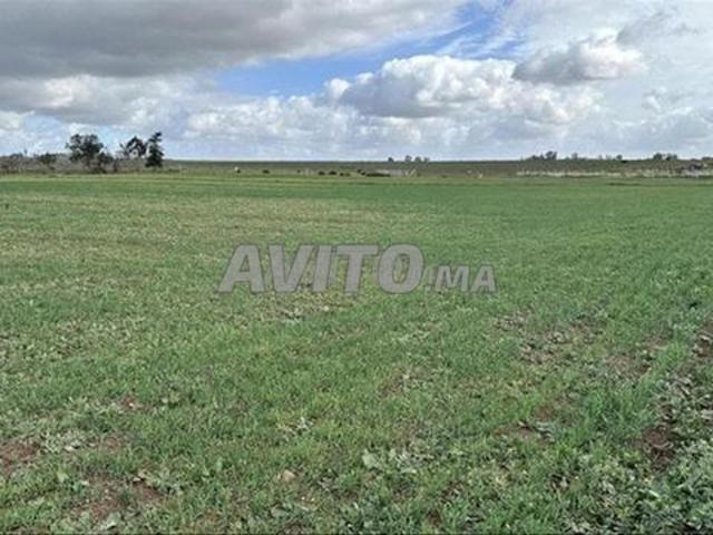 Propriété vente à El Ma, Gharb-Chrarda-Beni Hssen