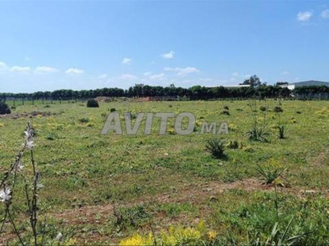 Propriété vente à El Ma, Gharb-Chrarda-Beni Hssen
