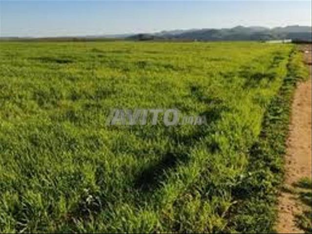Propriété vente à El Ma, Gharb-Chrarda-Beni Hssen