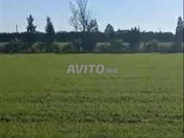 Propriété vente