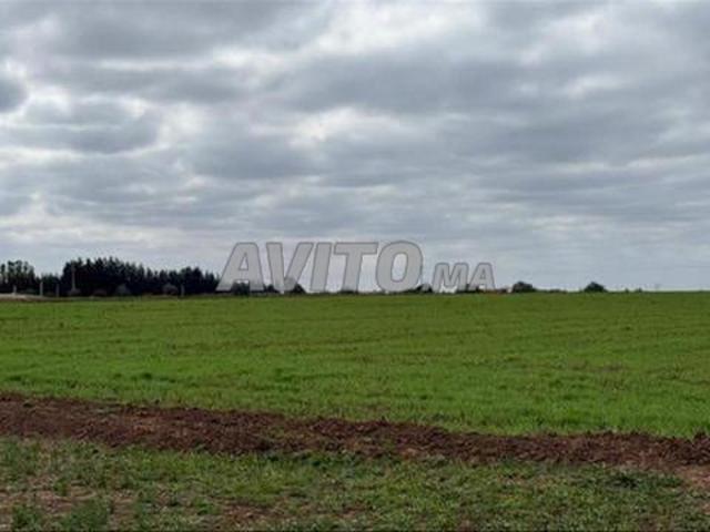 Propriété vente