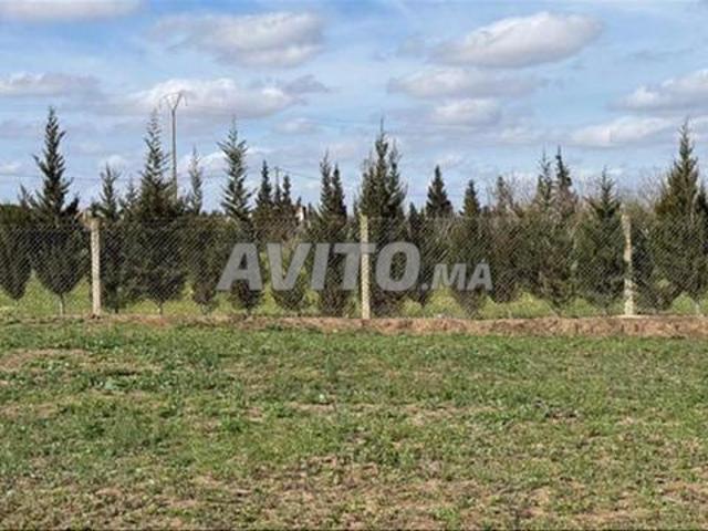 Propriété vente à El Ma, Gharb-Chrarda-Beni Hssen