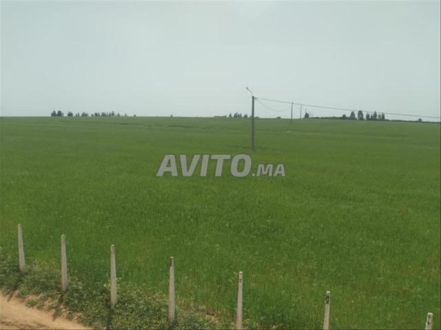Propriété vente à El Ma, Gharb-Chrarda-Beni Hssen