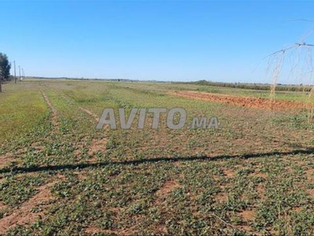 Propriété vente à El Ma, Gharb-Chrarda-Beni Hssen