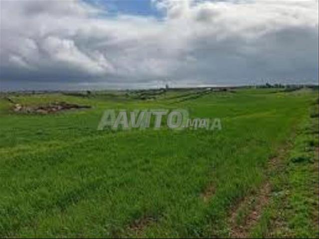 Propriété vente à El Ma, Gharb-Chrarda-Beni Hssen