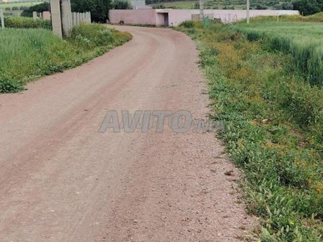 Propriété vente à El Ma, Gharb-Chrarda-Beni Hssen