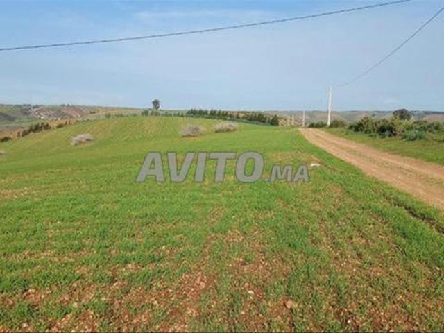 Propriété vente à El Ma, Gharb-Chrarda-Beni Hssen