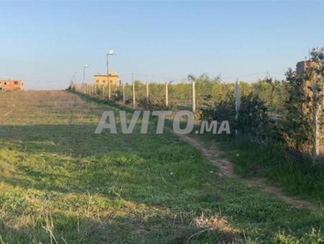 Propriété vente à El Ma, Gharb-Chrarda-Beni Hssen