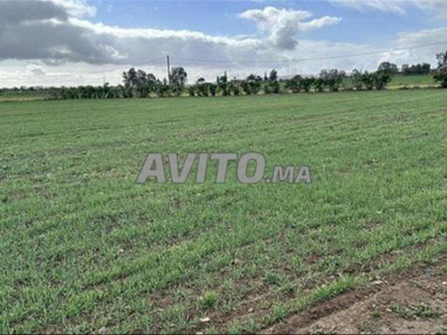 Propriété vente à El Ma, Gharb-Chrarda-Beni Hssen