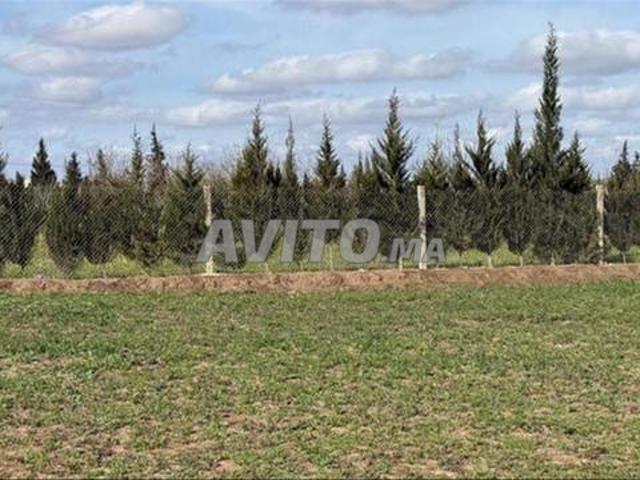 Propriété vente à El Ma, Gharb-Chrarda-Beni Hssen