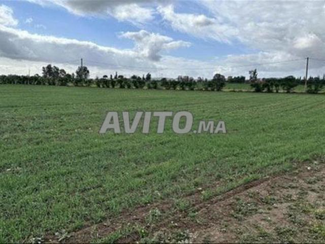 Propriété vente à El Ma, Gharb-Chrarda-Beni Hssen