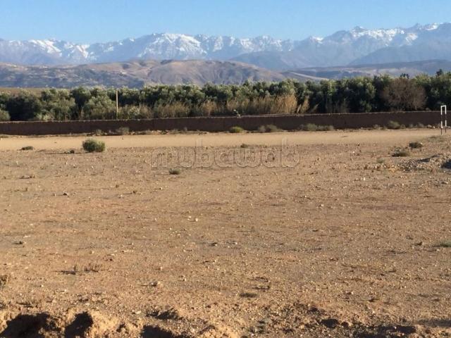 Terrain vente à Marrakech, L'Oriental