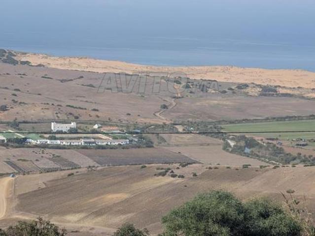 Propriété vente à Assilah, Tanger-Tétouan