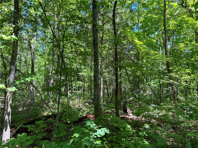 Land for sale in Ark