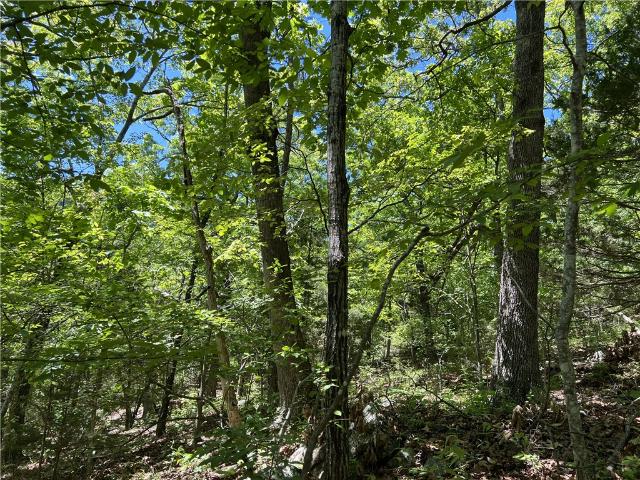 Land for sale in Ark