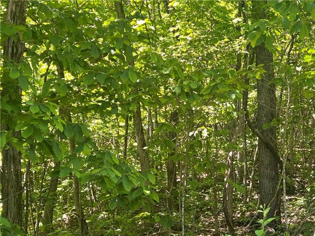 Land for sale in Ark