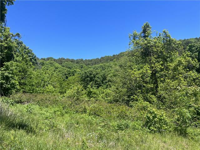 Land for sale in Ark