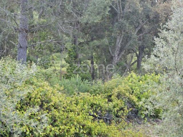 Terreno venda em Alijó, Vila Real
