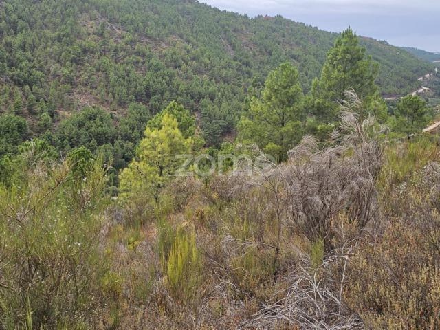 Terreno venda em Palheiros, Vila Real