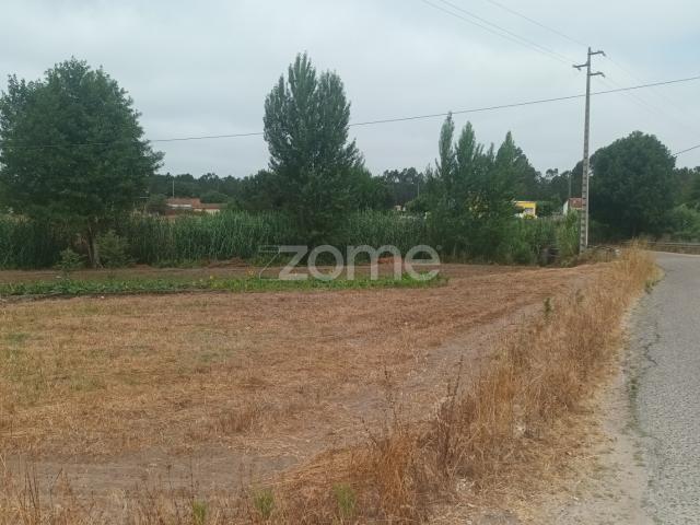 Terreno venda em Montemor-o-velho, Coimbra