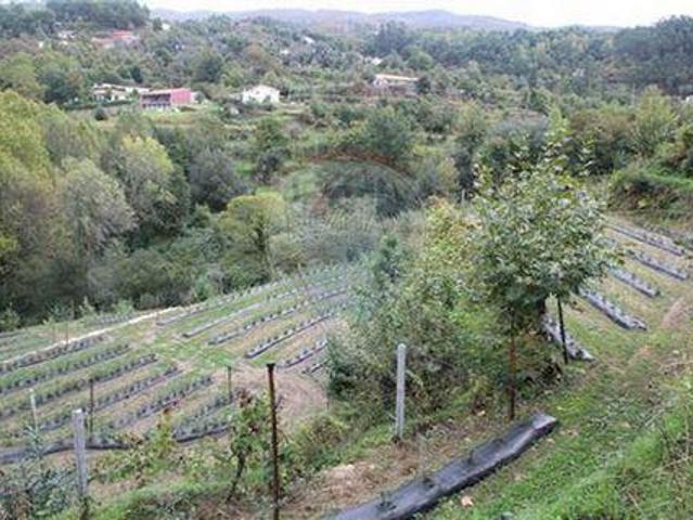 Terreno venda em Campos Abades, Covas