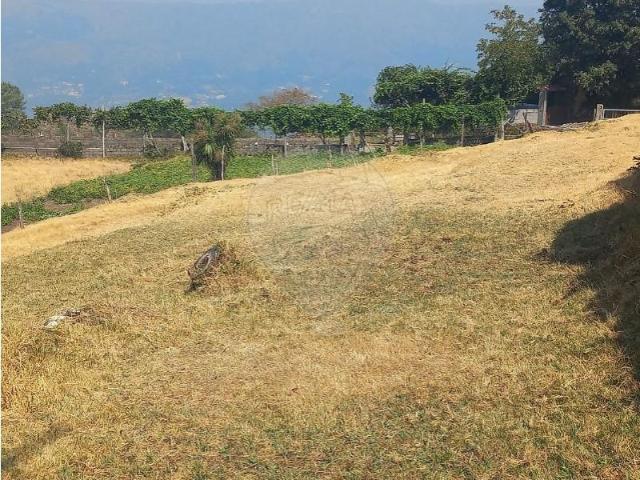 Terreno venda em Covas, Braga