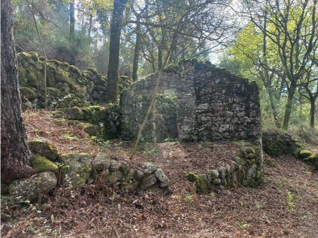 Terreno venda em Guardenha, Covas