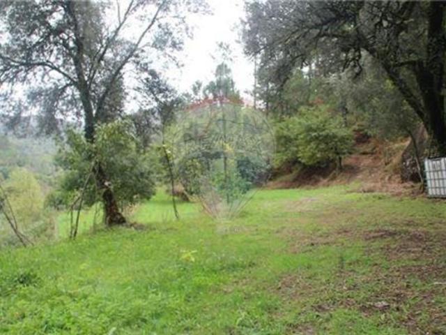Terreno venda em Campos Abades, Covas