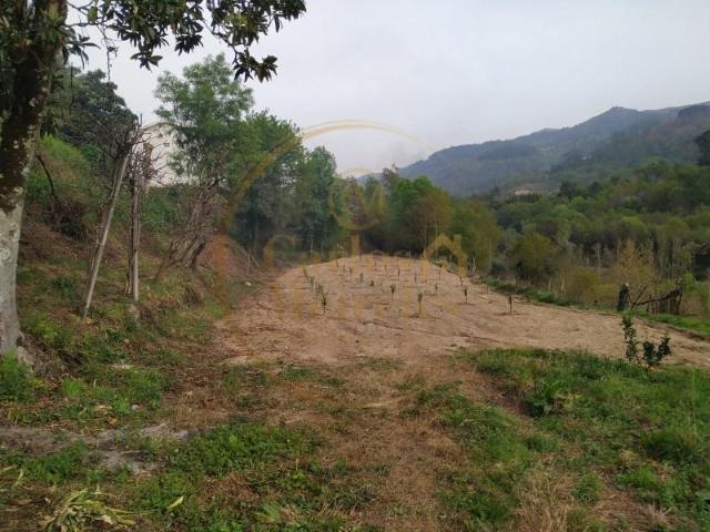 Terreno venda em Covas, Braga