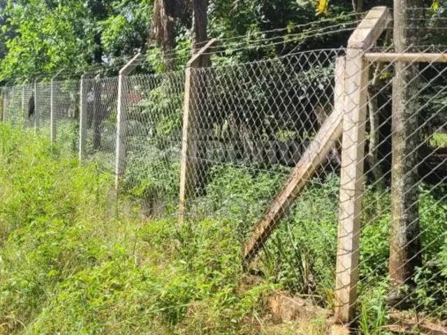 Sítio e chácara venda em Região Imediata de São José do Rio Preto, Região Metropolitana de São José do Rio Preto