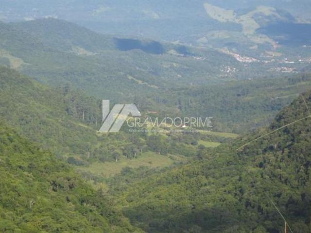 Sítio e chácara venda em Região Geográfica Imediata de Caxias do Sul, Gramado