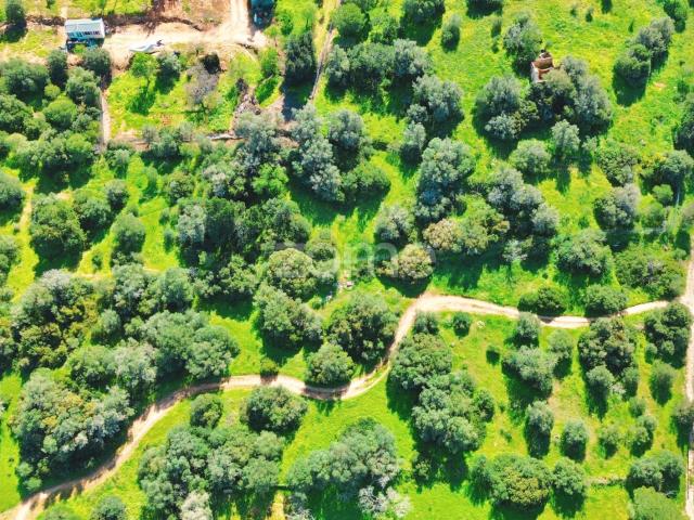 Terreno venda em Montes de Alvor, Portimão