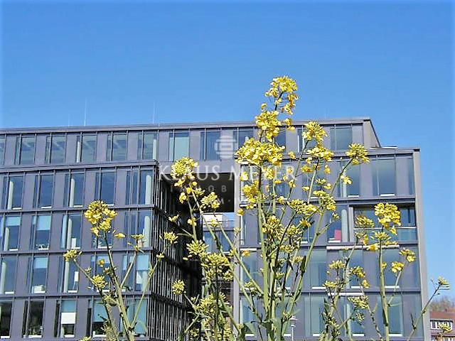 Büro mieten in Altona, Hamburg