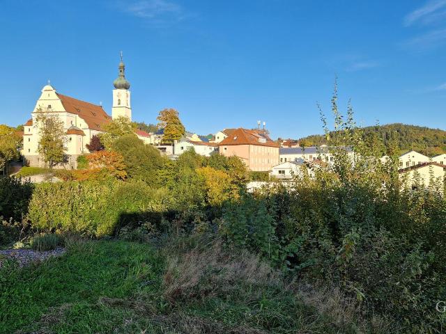 Landwirtschaft kaufen in Grafenau, Bayern
