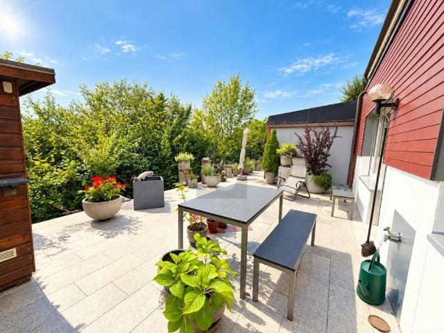 Terrassenwohnung kaufen in Enikon, Hünenberg