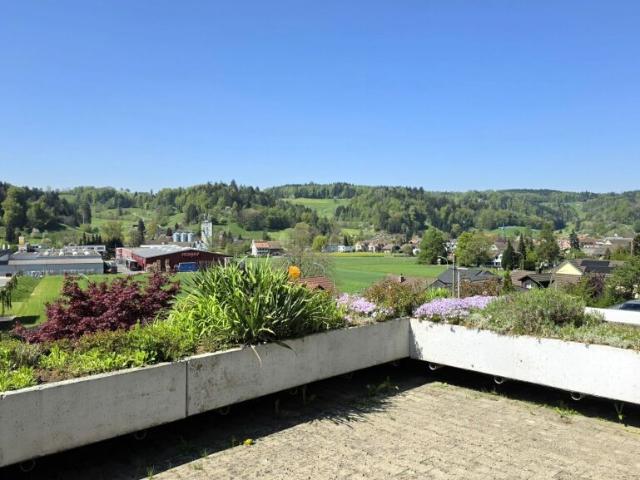 Immobilie kaufen in Oberkulm, Aargau