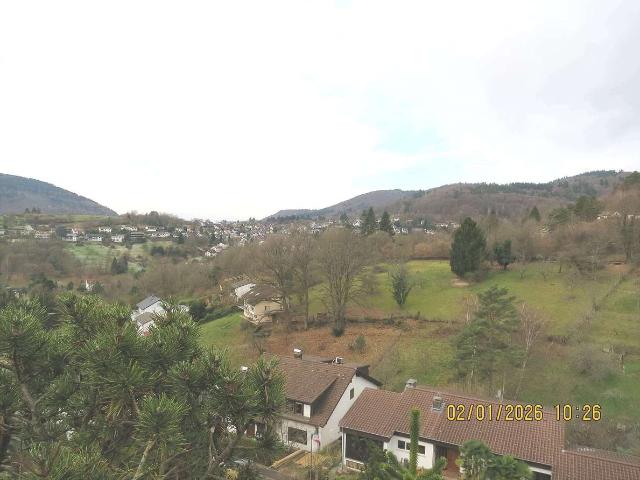 Wohnung kaufen in Ziegelhausen, Heidelberg