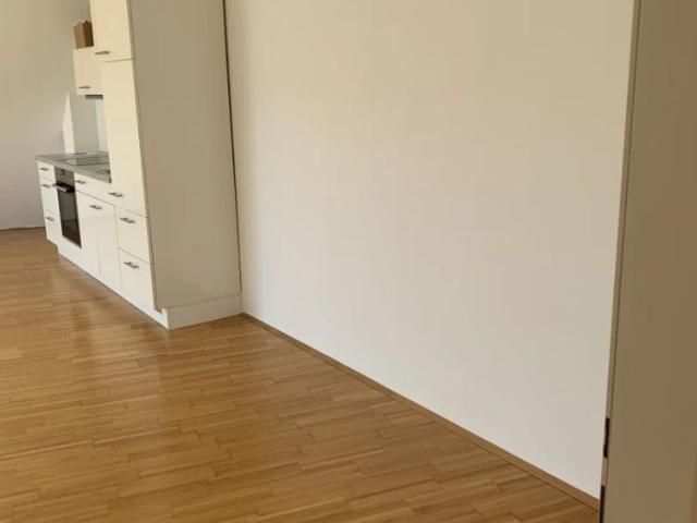 Apartment mieten in Brunn am Gebirge, Bezirk Mödling