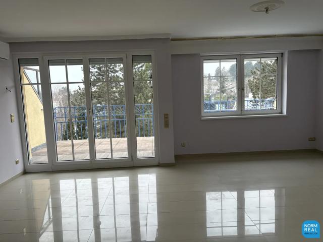 Apartment mieten in Döbling, Wien